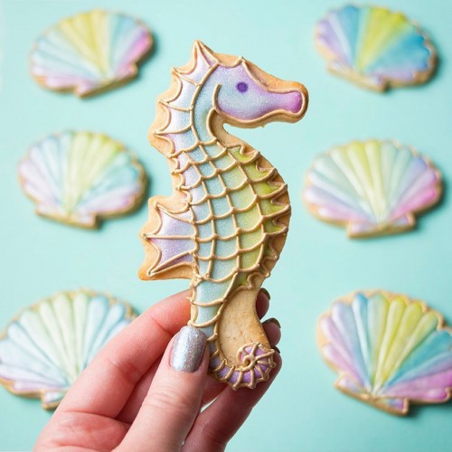 Κουπ πατ Ιππόκαμπος