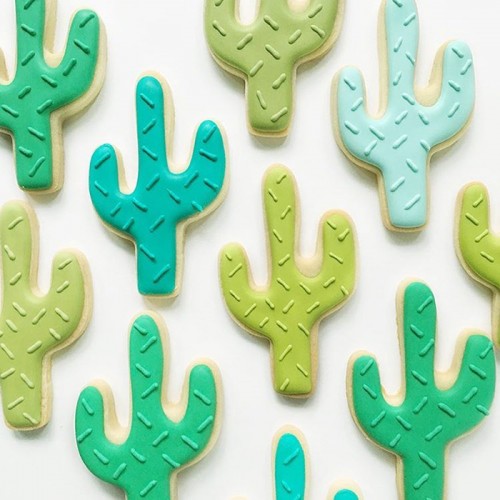 Κουπ πατ Κάκτος