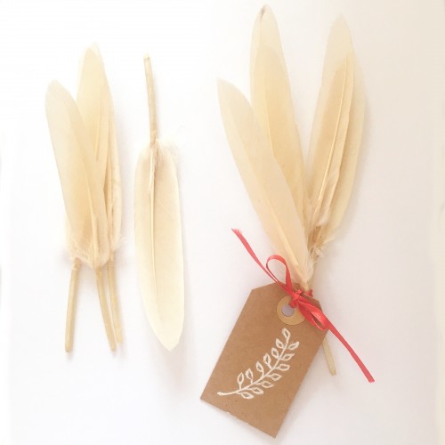 Ρομαντικό Μπεζ Φτερά για Κατασκευές- 50pcs