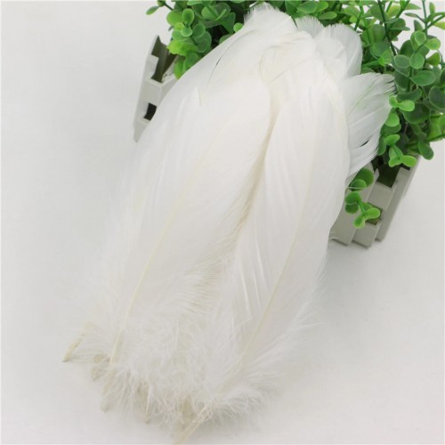 Λευκά Φτερά για Κατασκευές- 50pcs