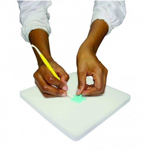 Επιφάνεια Εργασίας Αφρού για Λουλούδια της PME