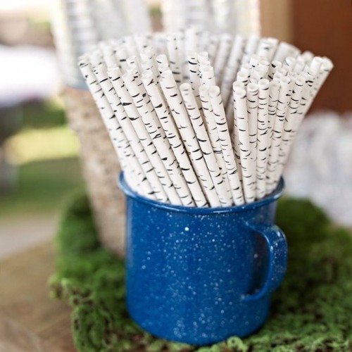 abcJoy Χάρτινα Καλαμάκια Εφέ Δέντρο Σημύδας (25-pack)