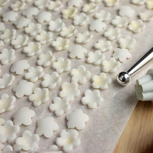 Μπουμπούκι Λουλουδιού-Cutter με Έμβολο PME (4pcs)