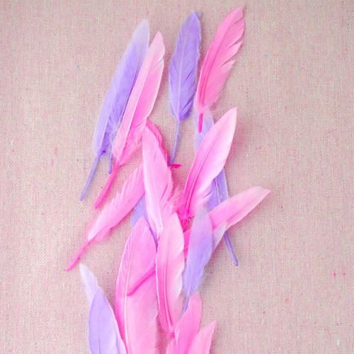 Ροζ Φτερά για Κατασκευές- 50pcs