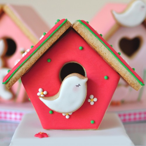 Κουπ πατ Πουλί - Teardrop Bird