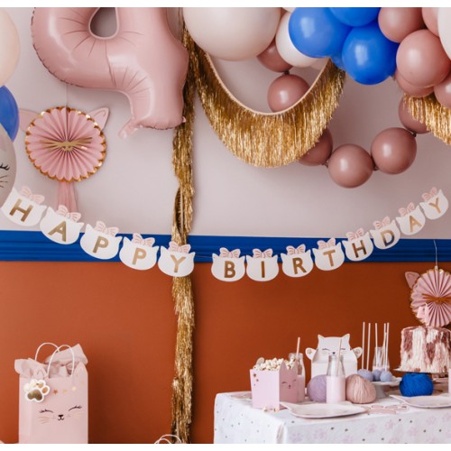 Banner Happy Birthday Γιρλάντα Γατούλα Pink Kitty PartyDeco