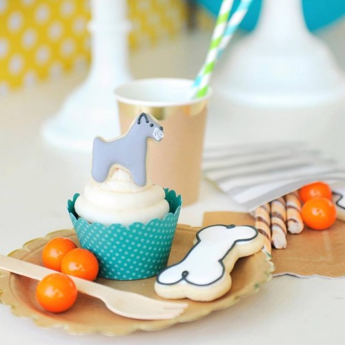 Κουπ πατ Κόκκαλο Σκύλου