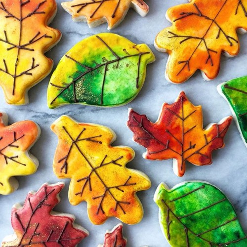 Κουπ πατ Φύλλο Βελανιδιάς