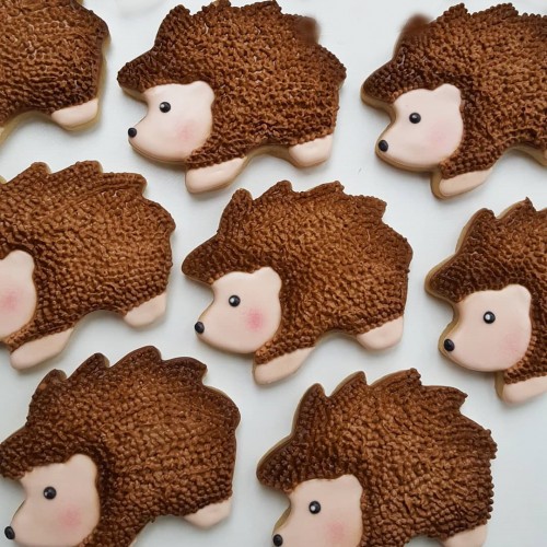 Κουπ πατ Σκαντζόχοιρος