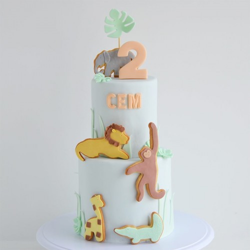 Κουπ πατ Πίθηκος