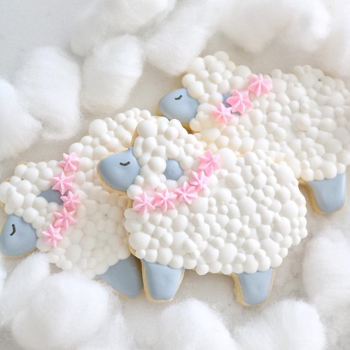 Κουπ πατ Πρόβατο