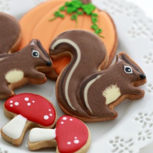 Κουπ πατ Σκίουρος