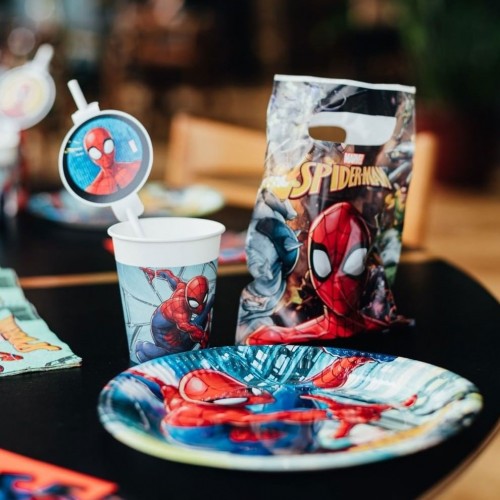 Πάρτυ Spider-Man