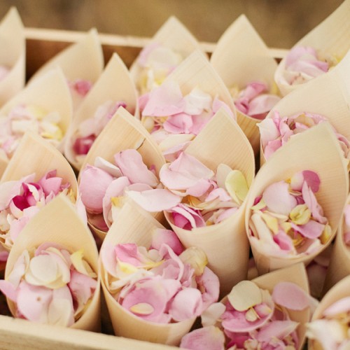 Ξύλινα Bamboo Χωνάκια (10τμχ)